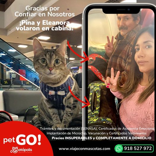 277589634_351535920263948_7601316746826368296_n