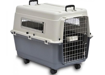 Transportador de Fibra – Tamaño L90