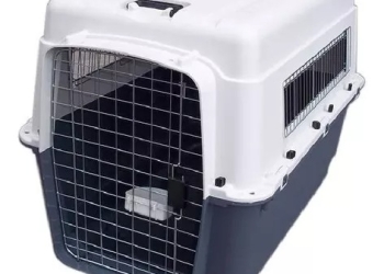 Transportador de Fibra – Tamaño L 120